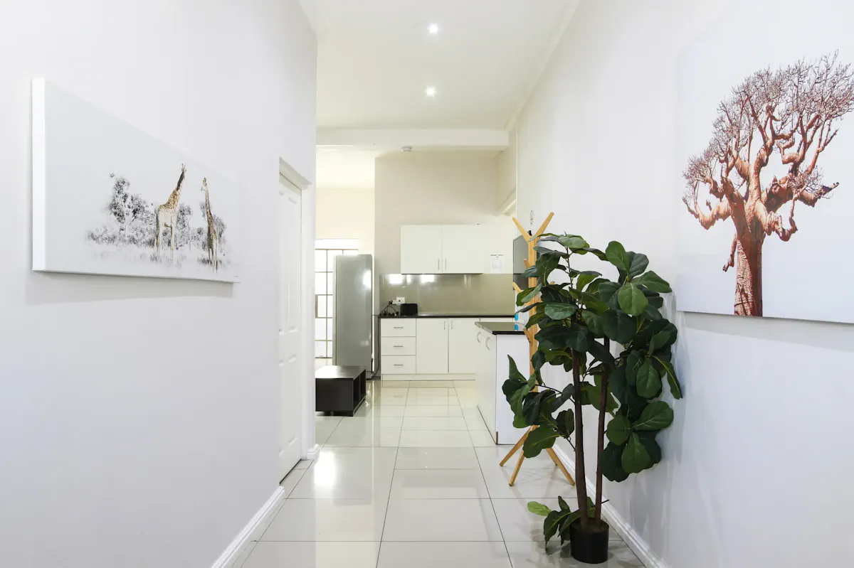 Modern Student Digs on Lower Scott Road, Observatory – photo 2