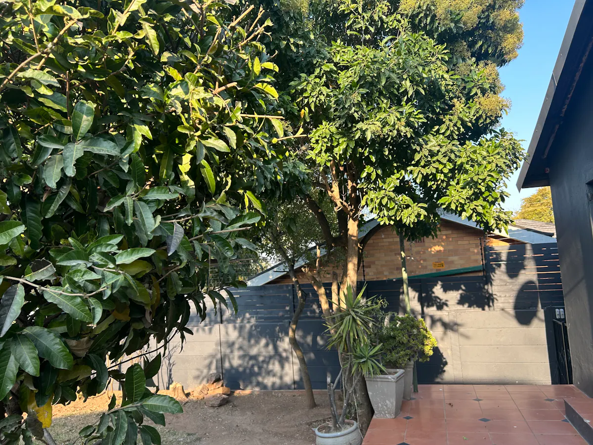 6 bedroom house in Westdene